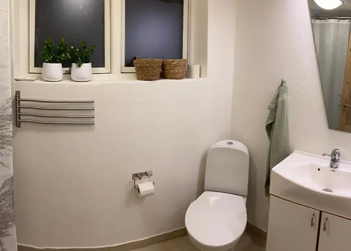 Apartamento Vaerelse Med Eget Kokken Og Bad Esbjerg